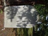 image of grave number 906973